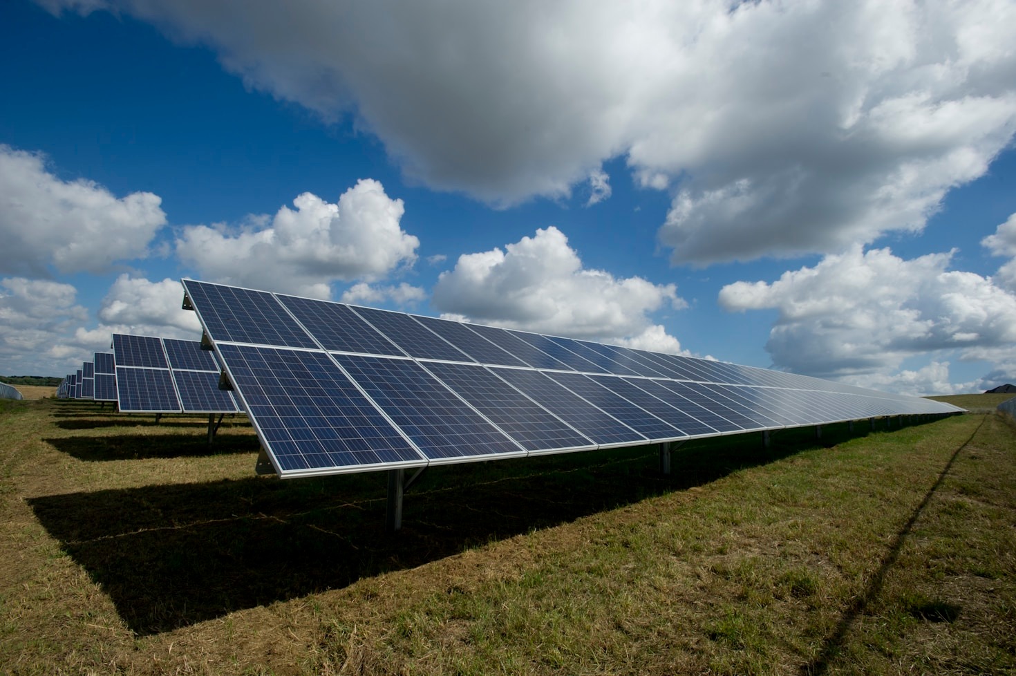 Making Your Home Eco-Friendly with TriCell Halo
